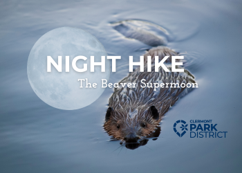 beavermoon1